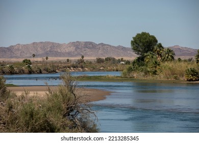 A Drought Stricken Colorado River Flows Between California And Arizona, USA.