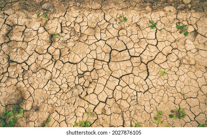 Drought surface. Cracked soil. Climate changes the soil. 