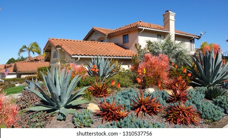 Drought tolerant landscaping in Southern California                               - Powered by Shutterstock