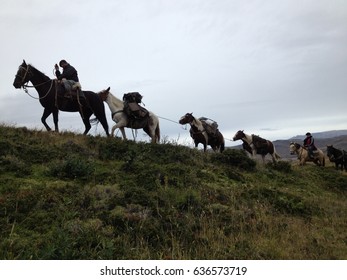 Drovers
