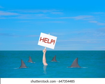 676 Surrounded By Sharks Images, Stock Photos & Vectors | Shutterstock