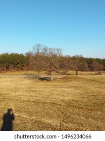 Druid Hill Park Writers Shadow