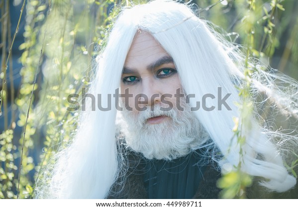 Druid Old Man Long Grey Hair Stock Photo Edit Now 449989711