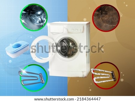 Similar – Image, Stock Photo Comparison of deposited brown eggs for offspring and droppings from a walking leaf