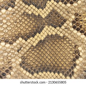 Drum Surface From A Snake,Boa Skin