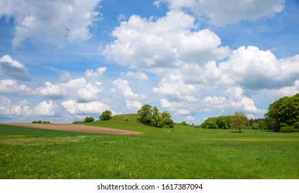 drumlin hill with beautiful wildflowers, relict of the glacial period. green spring landscape near Andechs, upper bavaria. blue sky with fluffy clouds.