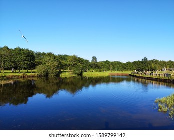 Drumpellier Country Park On A Sunny Day