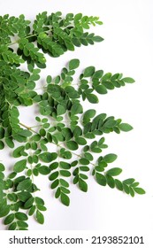 Drumstick Leaves On White Background