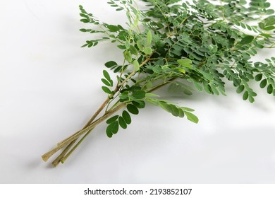 Drumstick Leaves On White Background