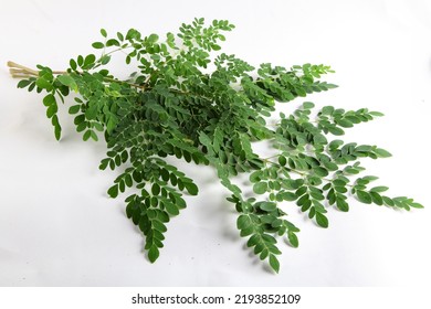 Drumstick Leaves On White Background