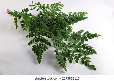 Drumstick Leaves On White Background