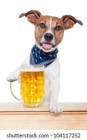 Drunk Dog With Beer