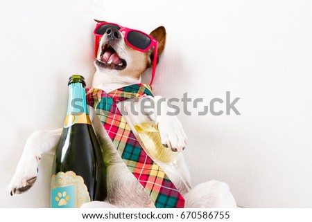 drunk jack russell terrier dog resting  or sleeping hangover with headache, with bottle and glass , wearing sunglasses and tie, after new years eve
