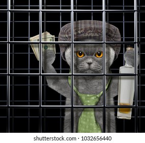 Cat In Prison Images, Stock Photos & Vectors | Shutterstock