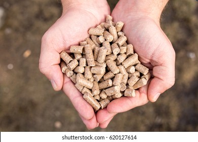 Dry Animal Feed In The Hands Of A Farmer