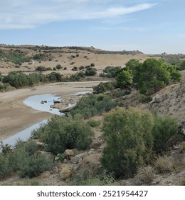 A dry area with some scattered trees here and there, a small river runs through it