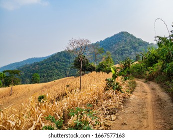 Dry, Arid Farmland On A Mountain At Western Of Thailand