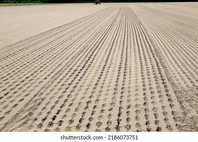 Dry Arid Field Without Seedlings Due To The Terrible Drought That Hit The Plains And Crops In Summer