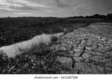 Dry And Arid Land With Failed Crops Due To Climate Change And Global Warming. High Temperatures Heat Of The Atmosphere Of An Hot Earth. 