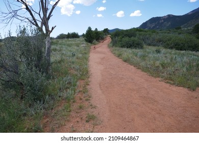 Dry Arid Path Through Dry Climate With Sparse Trees