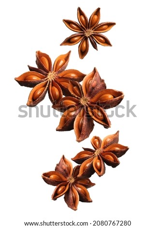 Dry aromatic anise stars falling on white background