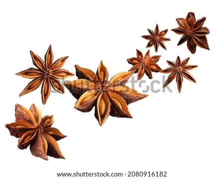 Dry aromatic anise stars falling on white background