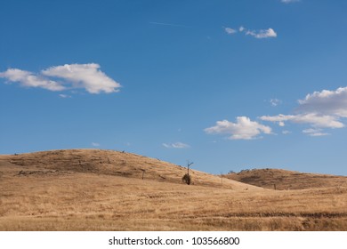 Dry Australian Farm Grass Landscape With Blue Sky And Clouds