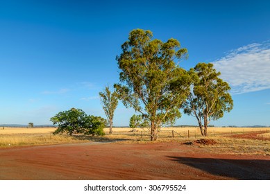 Dry Australian Outback Farm