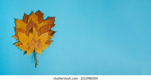 Dry Autumn Leafs On Pastel Background.Large Banner With Negative Space.