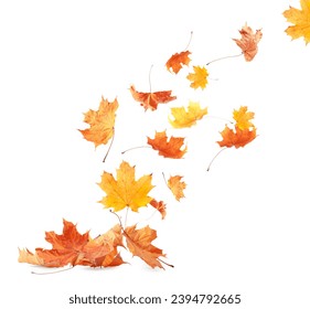 Dry autumn leaves falling on white background - Shutterstock ID 2394792665