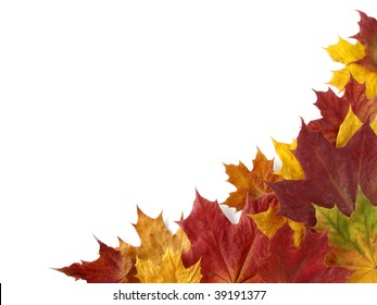 dry autumnal leaves corner with copy space