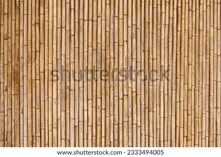 dry bamboo fence texture for pattern and background.
