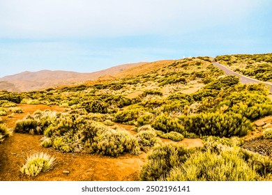 A dry, barren landscape with a few bushes and a dirt road. The sky is clear and the sun is shining - Powered by Shutterstock