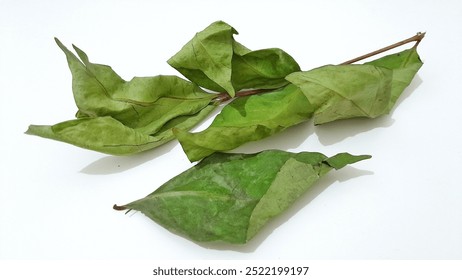 Dry Bay Leaf on a white background  - Powered by Shutterstock