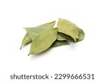 Dry bay leaves isolated on white background.