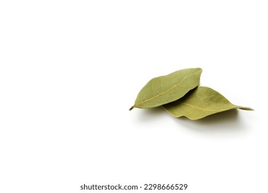 Dry bay leaves isolated on white background. copy space - Shutterstock ID 2298666529