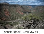 Dry Beaver Creek, Woods Canyon Arizona - Sedona Hiking
