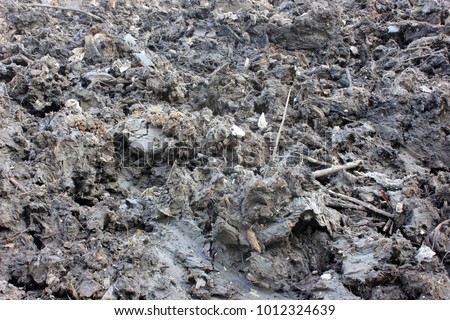 Land of Black Clay