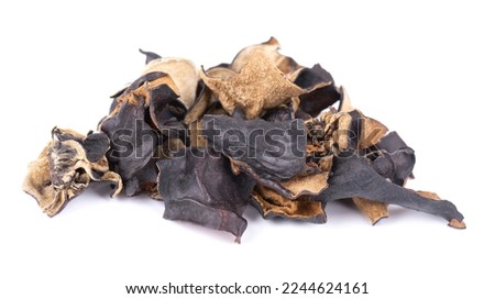 Dry black fungus isolated on white background. Chinese black mushroom or tree black muer mushroom. Auricularia polytricha
