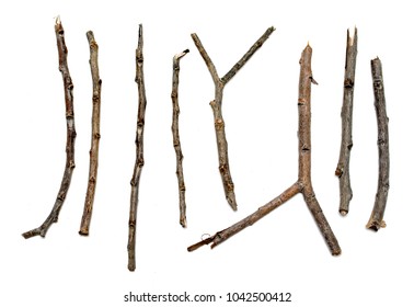 Dry Branch Sticks On White Background Stock Photo 1043589856 | Shutterstock