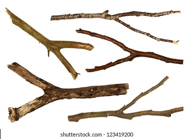 dry branches, isolated on white, y shaped