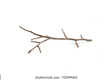 Dead Tree Branch Isolated On White Stock Photo (Edit Now) 407055538 ...