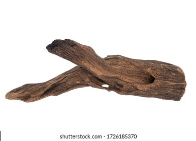 dry branches of tree isolated on white background - Shutterstock ID 1726185370