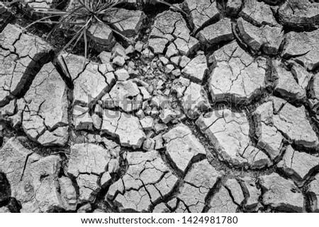 Similar – Image, Stock Photo Earth cracked Summer