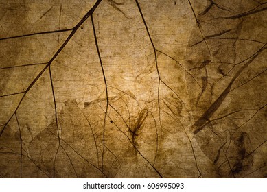 Dry Brown Autumn Leaf Texture Background In Vintage Tone With Vignetting.