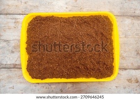 Dry brown coco peat in plastic container, organic planting media made from coconut fiber powder