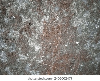 Dry brown moss on a gray stone wall