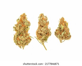 Dry Cannabis Buds Flowers On A White Background. Top View Of Medical Marijuana Flower. ​Concept Of Marijuana Plantation For Medical And Business