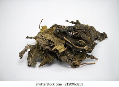 Dry Castorbean Leaves On White Background