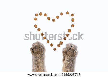 Dry cat food and cat paws on a white background. Dry food is laid out in the form of a heart on a white isolated background, and gray fluffy paws of a cat are reaching for it. Cat healthy food concept